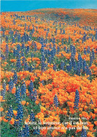 Delcampe - Carte Postale - Fleurs - CPM - Voir Scans Recto-Verso - Poscard - Carta Postal -  Postkarte - Blumen