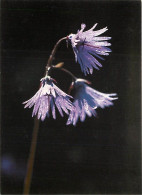 Delcampe - Carte Postale - Fleurs - CPM - Voir Scans Recto-Verso - Poscard - Carta Postal -  Postkarte - Blumen