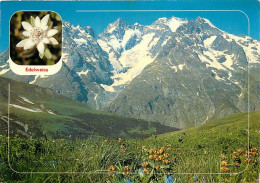 Delcampe - Carte Postale - Fleurs - CPM - Voir Scans Recto-Verso - Poscard - Carta Postal -  Postkarte - Blumen