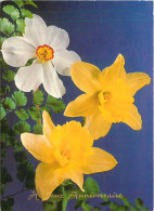Delcampe - Carte Postale - Fleurs - CPM - Voir Scans Recto-Verso - Poscard - Carta Postal -  Postkarte - Blumen