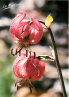Delcampe - Carte Postale - Fleurs - CPM - Voir Scans Recto-Verso - Poscard - Carta Postal -  Postkarte - Blumen