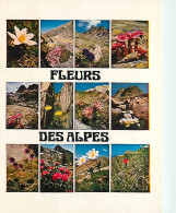 Delcampe - Carte Postale - Fleurs - CPM - Voir Scans Recto-Verso - Poscard - Carta Postal -  Postkarte - Blumen