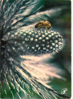 Delcampe - Carte Postale - Fleurs - CPM - Voir Scans Recto-Verso - Poscard - Carta Postal -  Postkarte - Blumen