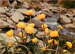 Delcampe - Carte Postale - Fleurs - CPM - Voir Scans Recto-Verso - Poscard - Carta Postal -  Postkarte - Blumen