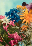 Delcampe - Carte Postale - Fleurs - CPM - Voir Scans Recto-Verso - Poscard - Carta Postal -  Postkarte - Blumen