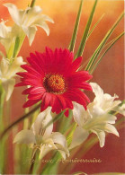 Delcampe - Carte Postale - Fleurs - CPM - Voir Scans Recto-Verso - Poscard - Carta Postal -  Postkarte - Blumen