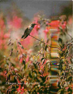 Delcampe - Carte Postale - Animaux - Oiseaux - Colibri - Fleurs - CPM - Voir Scans Recto-Verso - Poscard - Carta Postal -  Postkart - Vögel