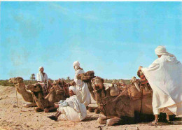 Delcampe - Carte Postale - Tunisie - Nefta - Chameliers - Folklore Scène Et Type - CPM - Voir Scans Recto-Verso - Poscard - Carta P - Tunesien