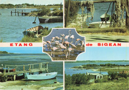 Delcampe - 11 SIGEAN ETANG DE SIGEAN - Sigean