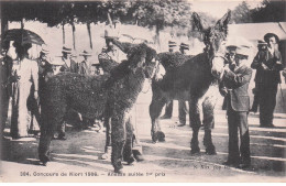 Delcampe - DEUX SEVRES  NIORT  Concours De Niort 1906  Anesse Suitée  1er Prix - Niort