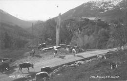 Delcampe - BR45399 Stalheim Cow Vaches Norway - Norwegen
