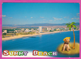 Delcampe - 328106 / Bulgaria - SUNNY BEACH - Palm Tree With Coconuts. Dog Hotel "Burgas" Hotels  Panorama Beach PC LARUS - Bulgarien