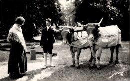 Delcampe - CPA Toute La France, Terroir Pyrénéen, Retour Des Champs, Junge Und Mädchen In Tracht, Rinder - Trachten