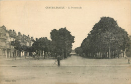 Delcampe - 86-CHATELLERAULT-N°3004-F/0135 - Chatellerault