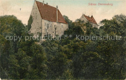 Delcampe - Nossen Schloss Oberreinsberg - Nossen