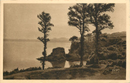 Delcampe - 29-DOUARNENEZ-N°3004-E/0219 - Douarnenez