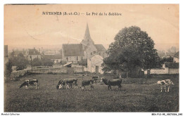 Delcampe - BEXP12-1036-95 - AVESNES - Le Pre De La Sablire - Avernes