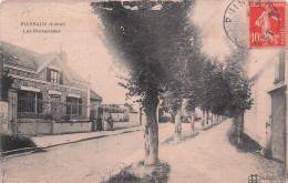 Delcampe - 45 PUISEAUX LES PROMENADES - Puiseaux