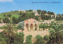 Delcampe - ISRAEL JERUSALEM BASILIQUE ET JARDIN DE GETHSEMANI - Israel