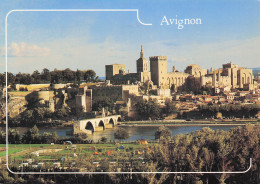 Delcampe - 84 AVIGNON LE PALAIS DES PAPES LE RHONE LE PONT ST BENEZET ET LE ROCHE - Avignon