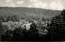 Delcampe - 27* LYONS LA FORET    Vue De La Terrasse  (CPSM X14cm)     RL22,1797 - Lyons-la-Forêt