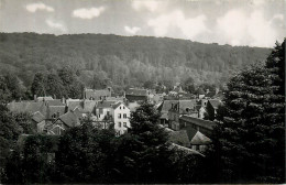 Delcampe - 27* LYONS LA FORET  Vue Generale   (CPSM X14cm)     RL22,1791 - Lyons-la-Forêt