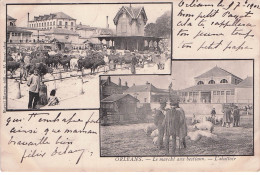 Delcampe - LOIRET  ORLEANS  Le Marché Aux Bestiaux " L'abattoir " - Orleans