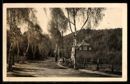Delcampe - AK Falkenberg /Mark, Landstrasse, Wohnhaus, Birkenallee - Falkenberg (Mark)
