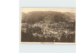 Delcampe - Triberg Schwarzwald Blick Vom Kaiserfelsen - Triberg