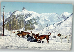 Delcampe - Hospiz Großer Sankt Bernhard Pass Foto AK Saint -Bernhard Bernhardiner W... - 38068532 - Sonstige & Ohne Zuordnung