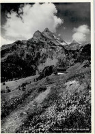 Delcampe - 8784 Braunwald - Ortstock - 51950497 - Braunwald