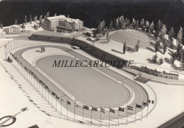 Delcampe - MISURINA:  Plastico Anello Olimpico - Pattinaggio Velocita'  1956 - Belluno