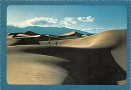 Delcampe - Lot 19  Usa Death Valleu Sand Dunes National Monuments California - Welt