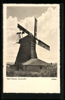 Delcampe - AK Nebel, Windmühle - Windmühlen