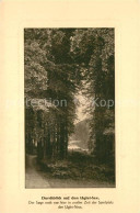 Delcampe - Eutin Schleswig-Holstein Uglei See Sage - Eutin