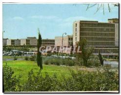 Delcampe - CPM L'Universite Hebraique Vue Partielle Des Alentours Avec Le Batiment Sherman - Israel