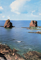 Delcampe - 64 HENDAYE FRONTIERE ESPAGNOLE - Hendaye