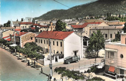 Delcampe - Algérie Tizi Ouzou Avenue F. Aillaud CPSM PF Pub Byrrh , Camion - Tizi Ouzou