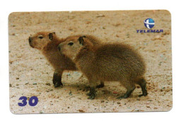 Delcampe - Capivara Animal Télécarte Brésil Phonecard (ST 326) - Altri & Non Classificati
