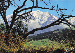 Delcampe - 74 COMBLOUX LE MASSIF DU MONT BLANC - Combloux