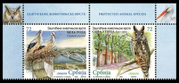 Delcampe - Serbia 2026 Protected Animals Species Fauna White Stork Long-eared Owl Birds Bridges Trees Top With Frame MNH - Serbie