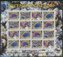 Delcampe - Ascension 2007 WWF, Angel Fish 4x4v M/s, Mint NH, Nature - Birds - World Wildlife Fund (WWF) - Ascension