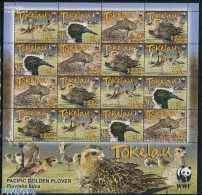Delcampe - Tokelau Islands 2007 WWF, Pacific Golden Plover M/s, Mint NH, Nature - Birds - World Wildlife Fund (WWF) - Tokelau