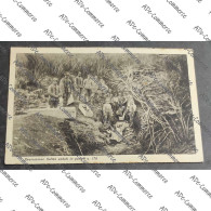 Delcampe - Cartolina Esumazione Salme Caduti In  Guerra - Sonstige & Ohne Zuordnung