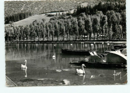 Delcampe - Nantua, Lac, Embarcadere (scan Recto-verso) KEVREN0013 - Nantua