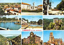 Delcampe - CARMAUX Et Ses Environs 21 (scan Recto Verso)KEVREN071BIS - Carmaux