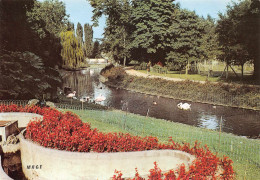 Delcampe - 80 AMIENS Lac Aux Cygnes Du Parc Zoologique 54 / KEVREN0021 - Amiens