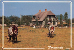 Delcampe - 76 Chaumière Normande Carte Postée à MONTVILLE 45 / KEVREN0021 - Montivilliers