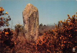 Delcampe - 87 Monts De Blond Le Menhir De Cinturat 17 / KEVREN0021 - Condat Sur Vienne