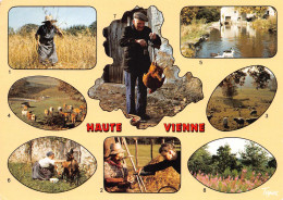 Delcampe - 87 HAUTE-VIENNE Limousin Pays D'eau Et De Verdure 51/ KEVREN0008Vic - Bellac